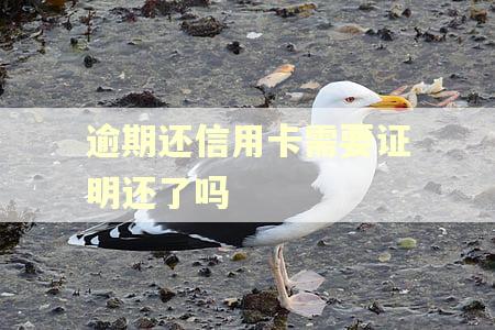 逾期还信用卡需要证明还了吗