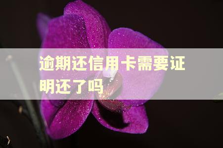 逾期还信用卡需要证明还了吗