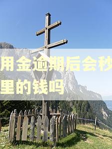 备用金逾期后会秒扣卡里的钱吗