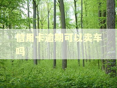 信用卡逾期可以卖车吗
