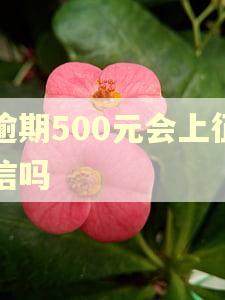 逾期500元会上征信吗 逾期500元会上征信吗