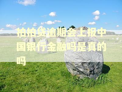 拍拍贷逾期会上报中国银行金融吗是真的吗