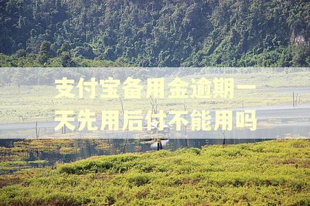 支付宝备用金逾期一天先用后付不能用吗
