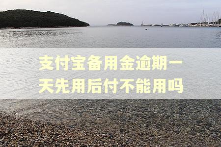 支付宝备用金逾期一天先用后付不能用吗