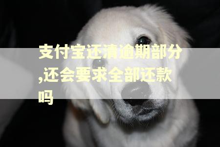 支付宝还清逾期部分,还会要求全部还款吗