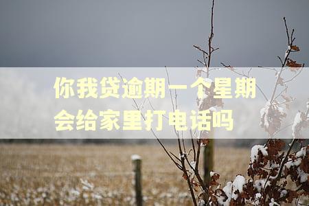 你我贷逾期一个星期会给家里打电话吗