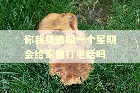 你我贷逾期一个星期会给家里打电话吗