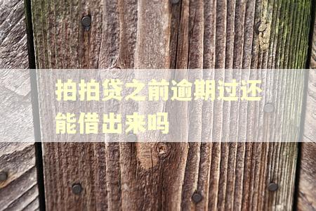 拍拍贷之前逾期过还能借出来吗 拍拍贷之前逾期过还能借出来吗