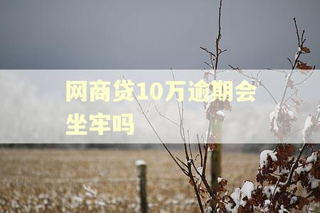 网商贷10万逾期会坐牢吗