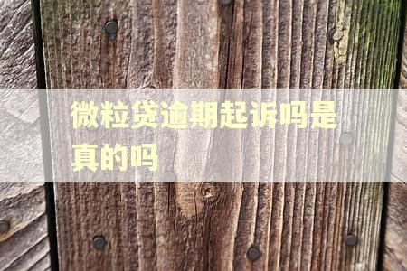 微粒贷逾期起诉吗是真的吗
