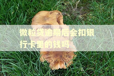 微粒贷逾期后会扣银行卡里的钱吗