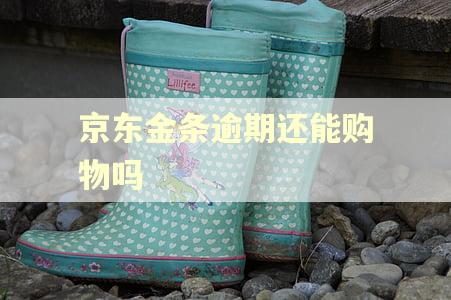 京东金条逾期还能购物吗 京东金条逾期还能购物吗