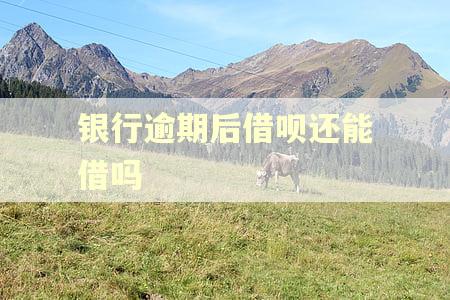 银行逾期后借呗还能借吗