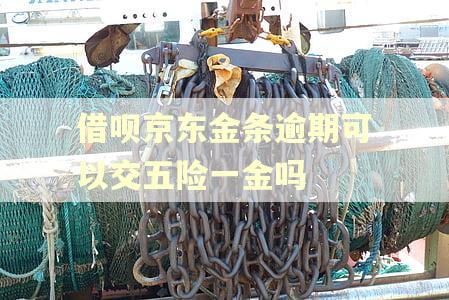 借呗京东金条逾期可以交五险一金吗