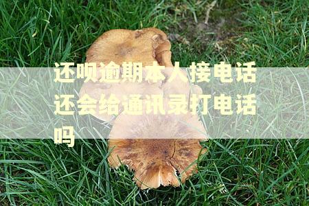 还呗逾期本人接电话还会给通讯录打电话吗