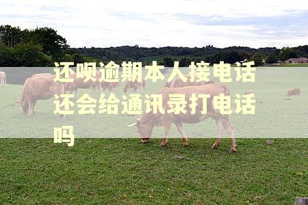 还呗逾期本人接电话还会给通讯录打电话吗