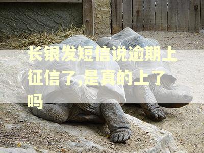 长银发短信说逾期上征信了,是真的上了吗