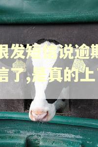 长银发短信说逾期上征信了,是真的上了吗