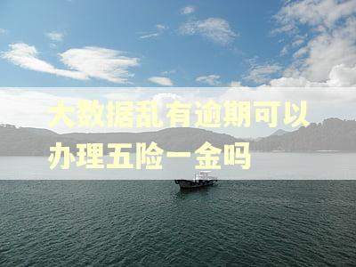 大数据乱有逾期可以办理五险一金吗 大数据乱有逾期可以办理五险一金吗