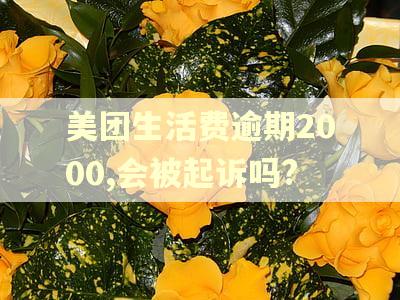 美团生活费逾期2000,会被起诉吗?