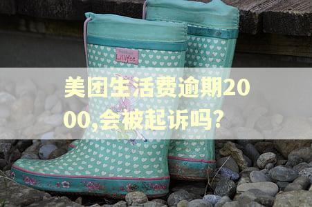 美团生活费逾期2000,会被起诉吗?