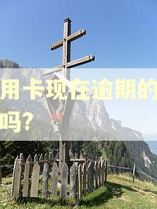信用卡现在逾期的人多吗?