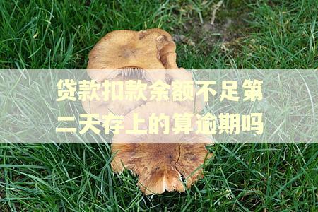 贷款扣款余额不足第二天存上的算逾期吗 贷款扣款余额不足第二天存上的算逾期吗