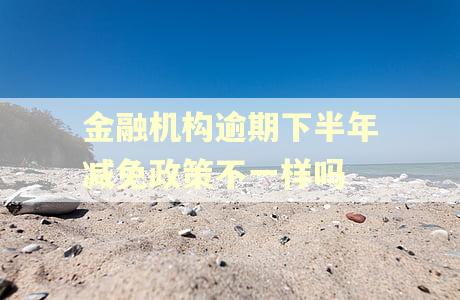 金融机构逾期下半年减免政策不一样吗