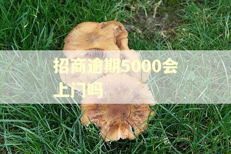 招商逾期5000会上门吗
