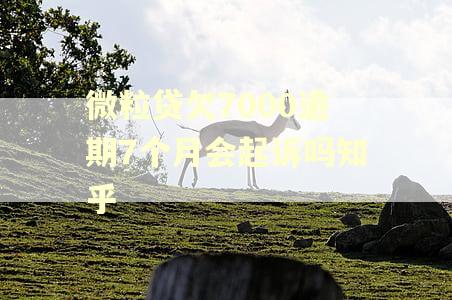 微粒贷欠7000逾期7个月会起诉吗知乎
