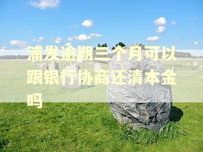 浦发逾期三个月可以跟银行协商还清本金吗