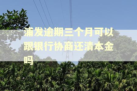 浦发逾期三个月可以跟银行协商还清本金吗