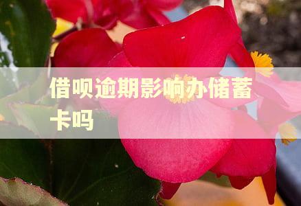 借呗逾期影响办储蓄卡吗