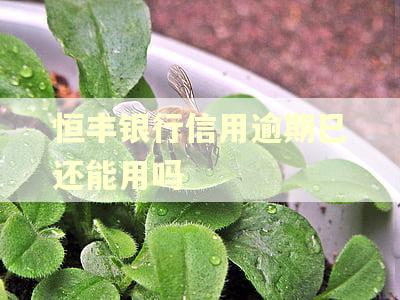 恒丰银行信用逾期巳还能用吗