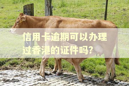 信用卡逾期可以办理过香港的证件吗?