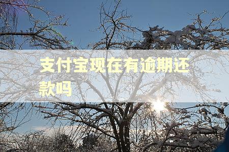 支付宝现在有逾期还款吗