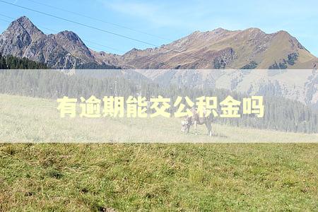 有逾期能交公积金吗