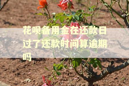 花呗备用金在还款日过了还款时间算逾期吗