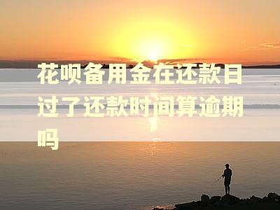 花呗备用金在还款日过了还款时间算逾期吗