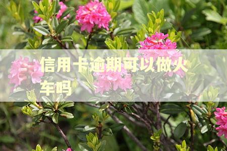 信用卡逾期可以做火车吗