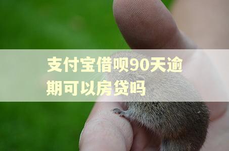 支付宝借呗90天逾期可以房贷吗