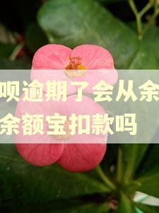 借呗逾期了会从余额和余额宝扣款吗