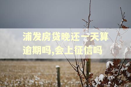 浦发房贷晚还一天算逾期吗,会上征信吗