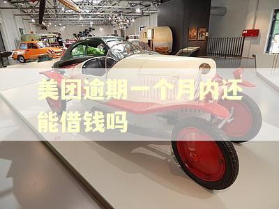 美团逾期一个月内还能借钱吗