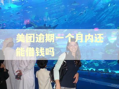 美团逾期一个月内还能借钱吗