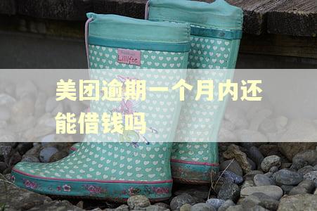 美团逾期一个月内还能借钱吗 美团逾期一个月内还能借钱吗