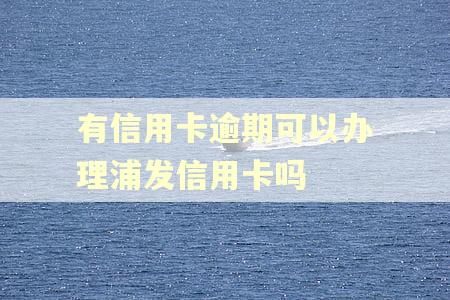 有信用卡逾期可以办理浦发信用卡吗