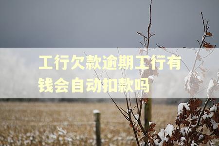 工行欠款逾期工行有钱会自动扣款吗