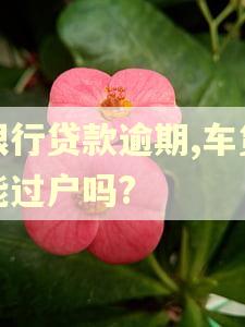 银行贷款逾期,车贷能过户吗?