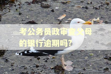考公务员政审查父母的银行逾期吗? 考公务员政审查父母的银行逾期吗?